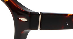 rc009